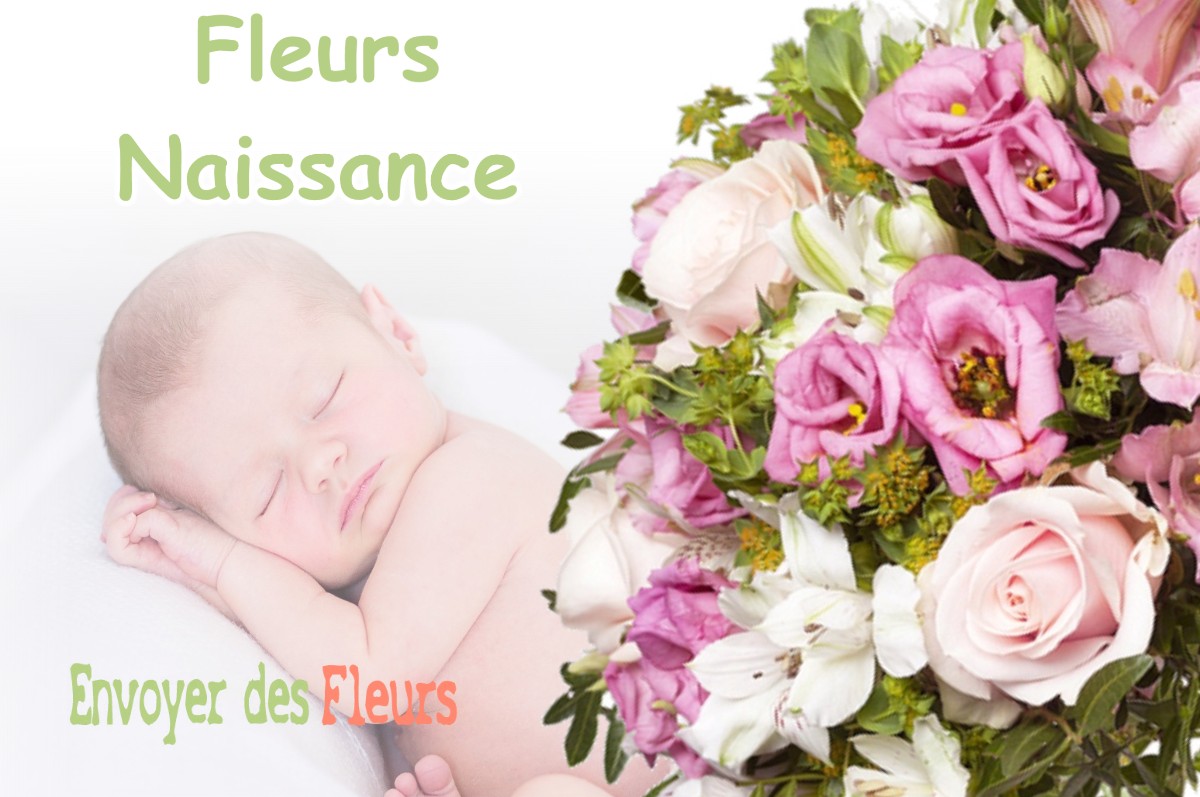 lIVRAISON FLEURS NAISSANCE à CORPS